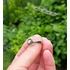 Kép 3/6 - Természetes gyöngy gyűrű csavarral / Natural pearl ring with a twist